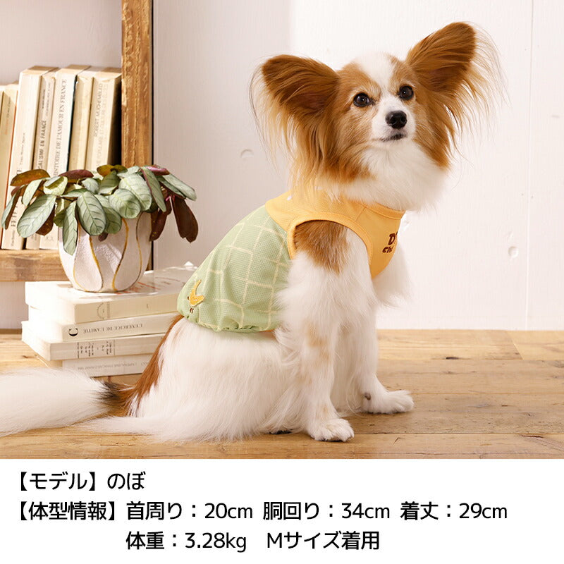 フルーツメッシュタンク XS/S/M/L/XL/XXL/DXS/DS/DM/DL/FBS/FBM/FBL D's Chat-ディーズチャット- 犬服 小型犬 ダックス フレブル ドッグウェア DS26SS ds261316