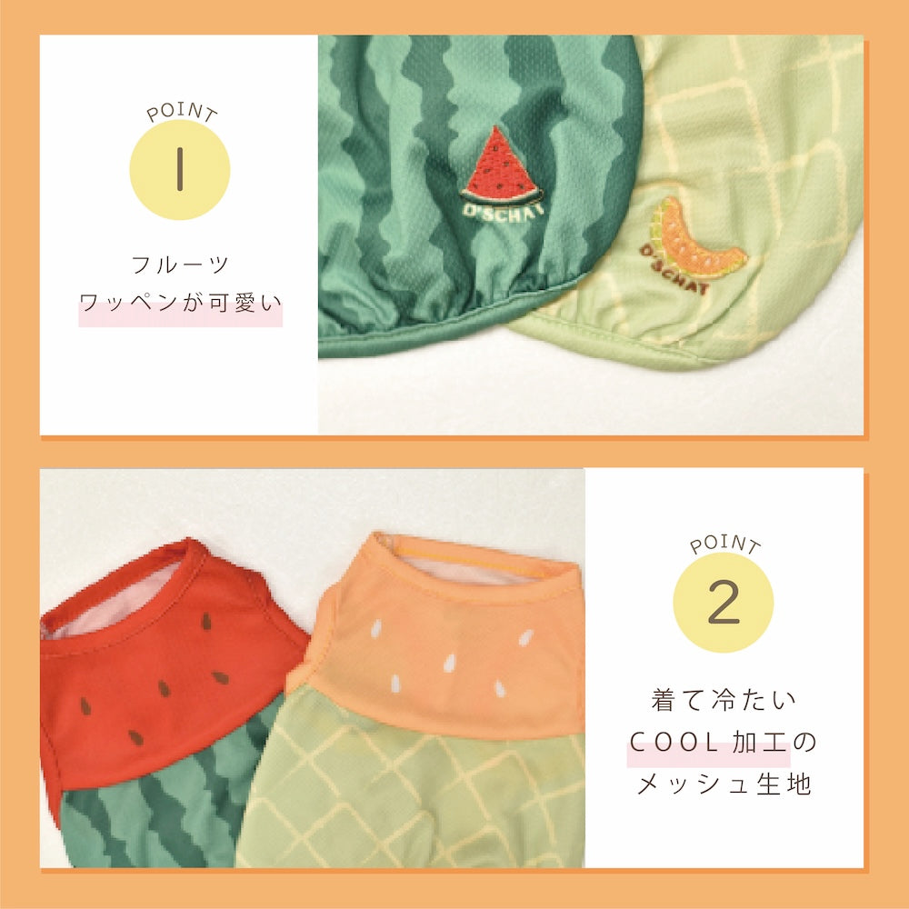 フルーツメッシュタンク XS/S/M/L/XL/XXL/DXS/DS/DM/DL/FBS/FBM/FBL D's Chat-ディーズチャット- 犬服 小型犬 ダックス フレブル ドッグウェア DS26SS ds261316