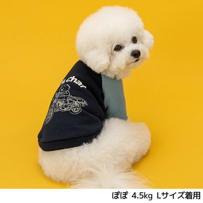 ディーズ君ラグラントレーナー XS/S/M/L/XL/XXL/DXS/DS/DM/DL/FBS/FBM/FBL D's Chat-ディーズチャット- 犬服 小型犬 ダックス フレブル ドッグウェア DS26AW