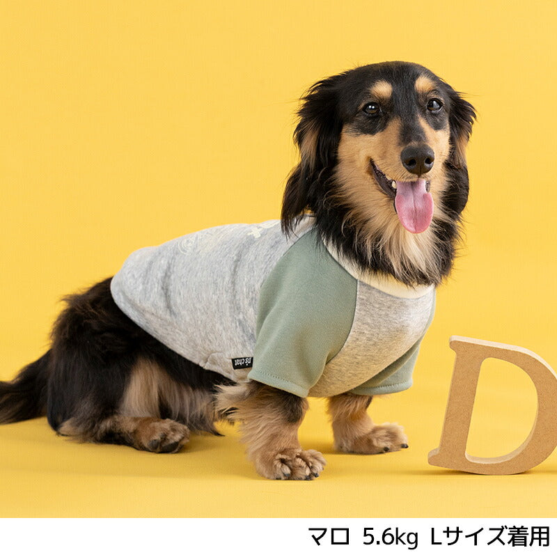 ディーズ君ラグラントレーナー XS/S/M/L/XL/XXL/DXS/DS/DM/DL/FBS/FBM/FBL D's Chat-ディーズチャット- 犬服 小型犬 ダックス フレブル ドッグウェア DS26AW