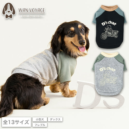 ディーズ君ラグラントレーナー XS/S/M/L/XL/XXL/DXS/DS/DM/DL/FBS/FBM/FBL D's Chat-ディーズチャット- 犬服 小型犬 ダックス フレブル ドッグウェア DS26AW