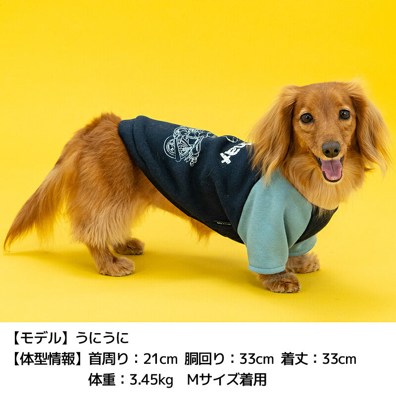 ディーズ君ラグラントレーナー XS/S/M/L/XL/XXL/DXS/DS/DM/DL/FBS/FBM/FBL D's Chat-ディーズチャット- 犬服 小型犬 ダックス フレブル ドッグウェア DS26AW