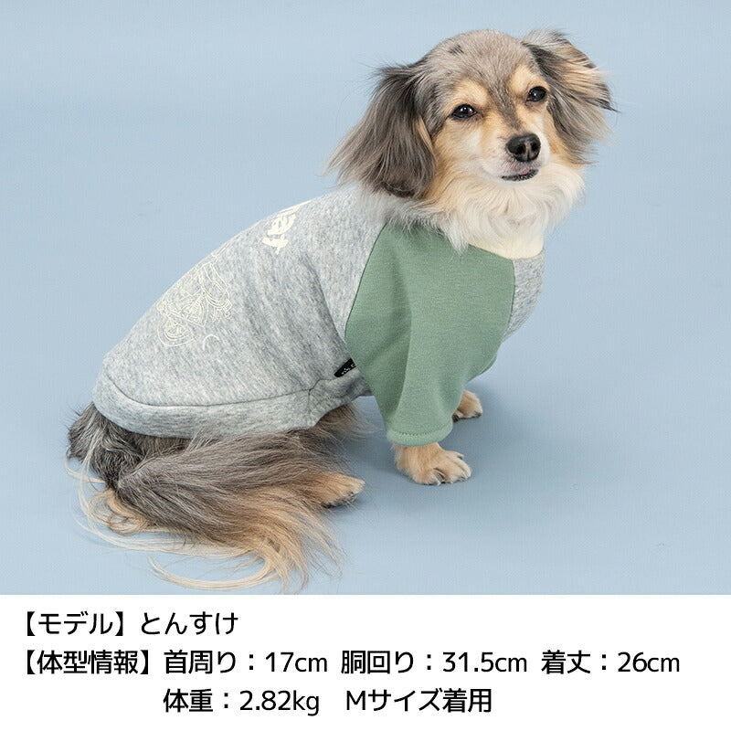 ディーズ君ラグラントレーナー XS/S/M/L/XL/XXL/DXS/DS/DM/DL/FBS/FBM/FBL D's Chat-ディーズチャット- 犬服 小型犬 ダックス フレブル ドッグウェア DS26AW