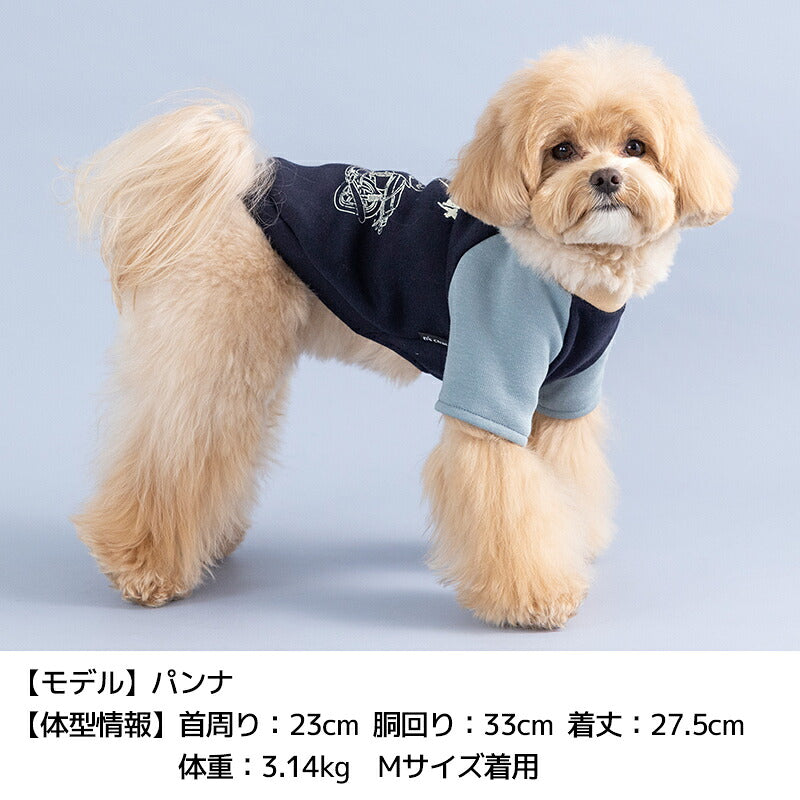 ディーズ君ラグラントレーナー XS/S/M/L/XL/XXL/DXS/DS/DM/DL/FBS/FBM/FBL D's Chat-ディーズチャット- 犬服 小型犬 ダックス フレブル ドッグウェア DS26AW