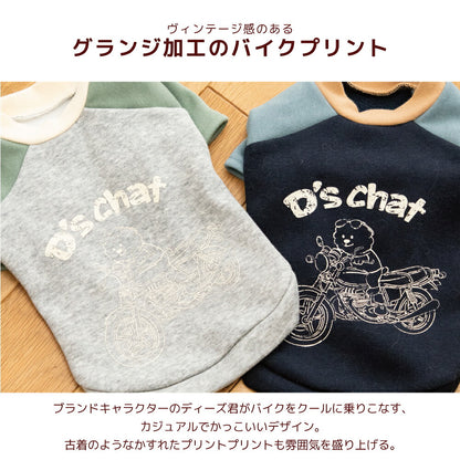 ディーズ君ラグラントレーナー XS/S/M/L/XL/XXL/DXS/DS/DM/DL/FBS/FBM/FBL D's Chat-ディーズチャット- 犬服 小型犬 ダックス フレブル ドッグウェア DS26AW