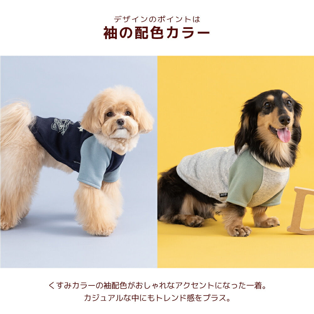 ディーズ君ラグラントレーナー XS/S/M/L/XL/XXL/DXS/DS/DM/DL/FBS/FBM/FBL D's Chat-ディーズチャット- 犬服 小型犬 ダックス フレブル ドッグウェア DS26AW