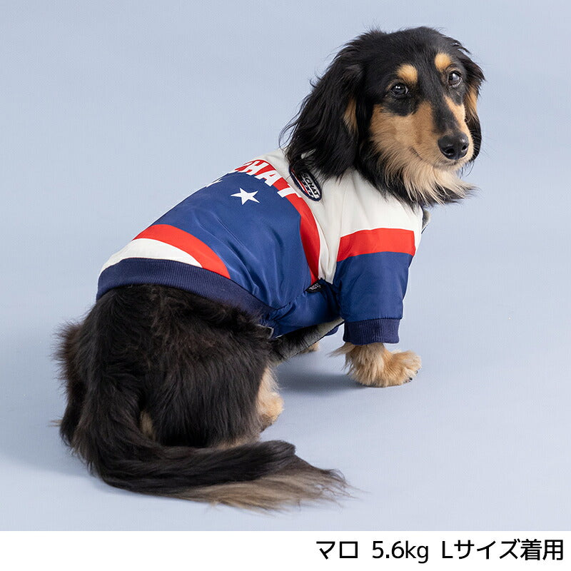 裏起毛ナイロンアウター XS/S/M/L/XL/XXL/DXS/DS/DM/DL/FBS/FBM/FBL D's Chat-ディーズチャット- 犬服 暖かい 小型犬 ダックス フレブル ドッグウェア DS26AW