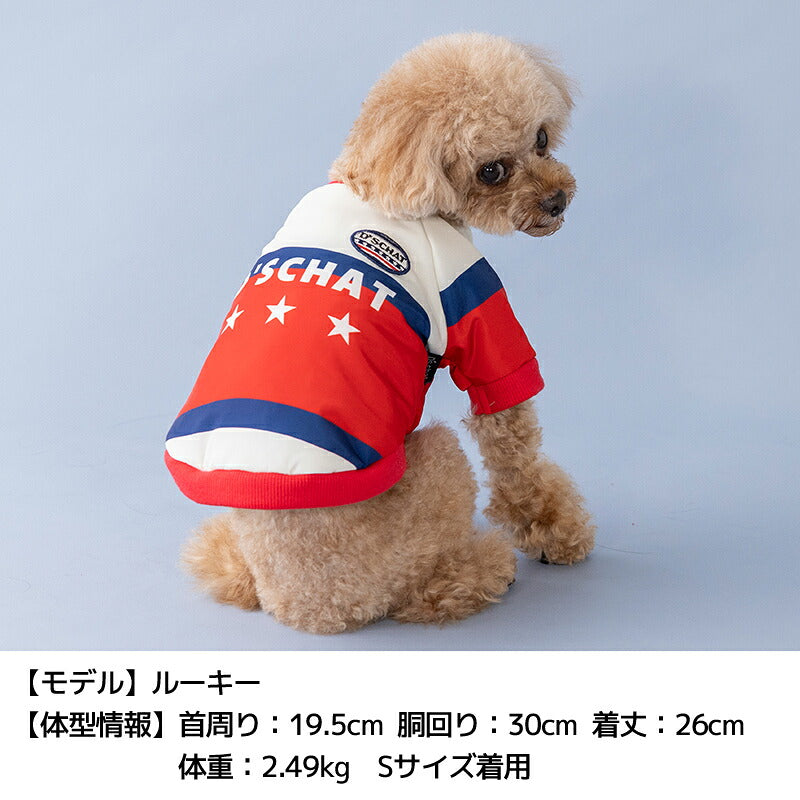 裏起毛ナイロンアウター XS/S/M/L/XL/XXL/DXS/DS/DM/DL/FBS/FBM/FBL D's Chat-ディーズチャット- 犬服 暖かい 小型犬 ダックス フレブル ドッグウェア DS26AW