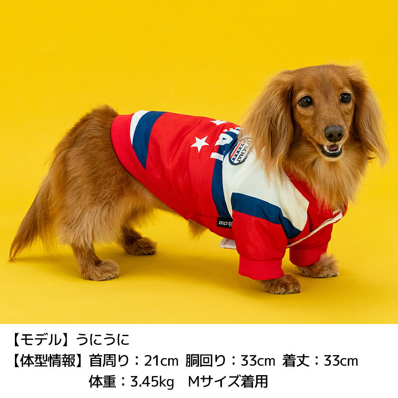 裏起毛ナイロンアウター XS/S/M/L/XL/XXL/DXS/DS/DM/DL/FBS/FBM/FBL D's Chat-ディーズチャット- 犬服 暖かい 小型犬 ダックス フレブル ドッグウェア DS26AW