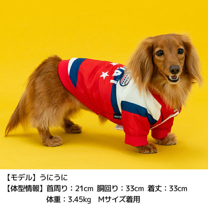 裏起毛ナイロンアウター XS/S/M/L/XL/XXL/DXS/DS/DM/DL/FBS/FBM/FBL D's Chat-ディーズチャット- 犬服 暖かい 小型犬 ダックス フレブル ドッグウェア DS26AW
