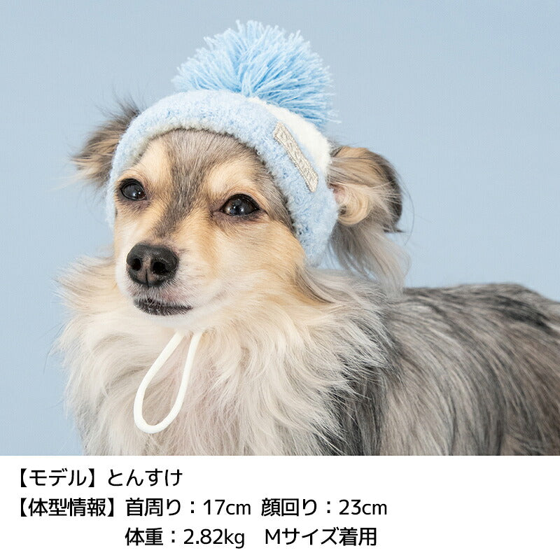 バイカラーニット帽 S/SM/M/L/XL D's Chat-ディーズチャット- 犬用 帽子 防寒具 小型犬 DS26AW