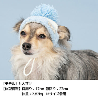 バイカラーニット帽 S/SM/M/L/XL D's Chat-ディーズチャット- 犬用 帽子 防寒具 小型犬 DS26AW
