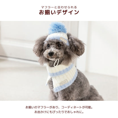 バイカラーニット帽 S/SM/M/L/XL D's Chat-ディーズチャット- 犬用 帽子 防寒具 小型犬 DS26AW
