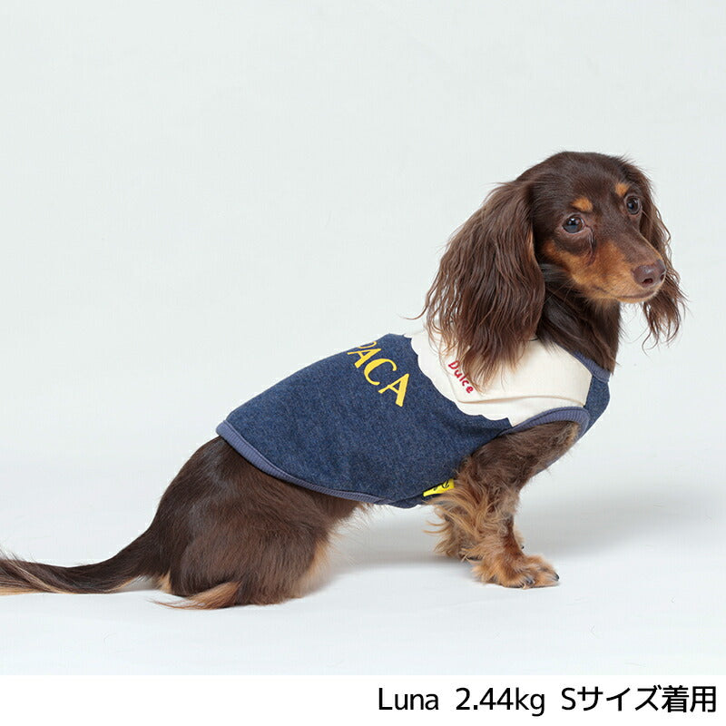 あにまるカラートレーナー S/M/L/XL Dulce-ドゥルチェ- 犬服 ドッグウェア DU24AW du241132