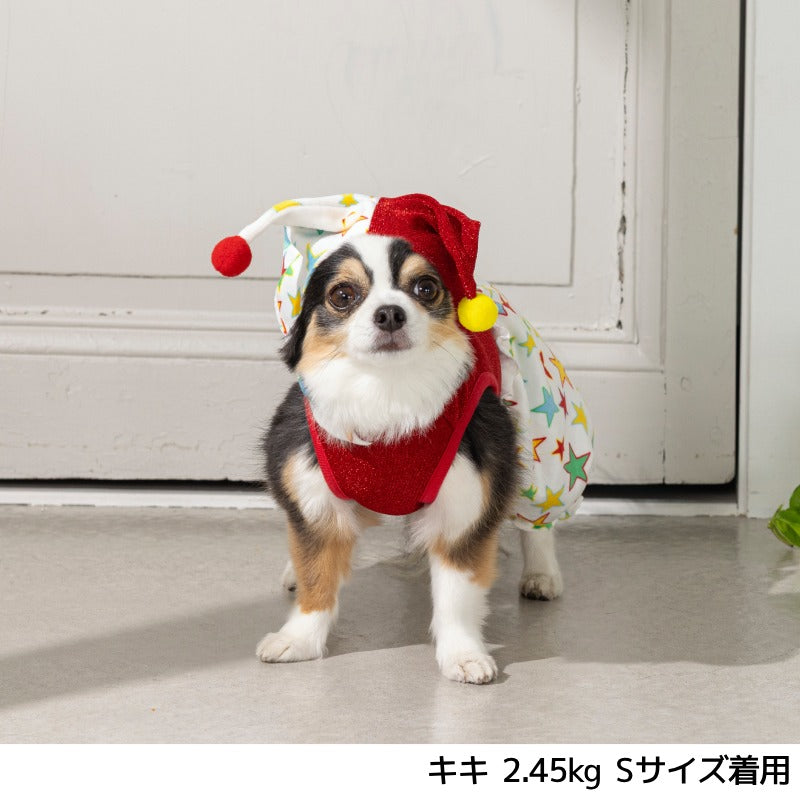 ピエロベロアロンパース S/M/L/XL Dulce-ドゥルチェ- 犬服 ドッグウェア DU25AW du251177