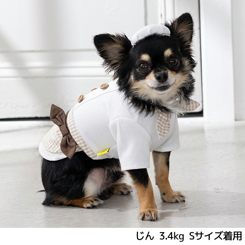 なりきりコックさん S/M/L/XL Dulce-ドゥルチェ- 犬服 ドッグウェア トイプードル チワワ ダックス DU26AW du261198