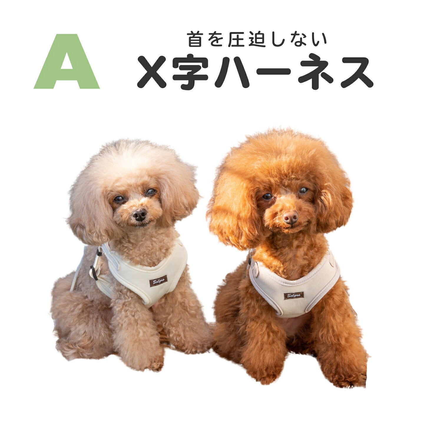 犬具（首輪・ハーネス・リード） – WAN VOYAGE（ワンボヤージュ