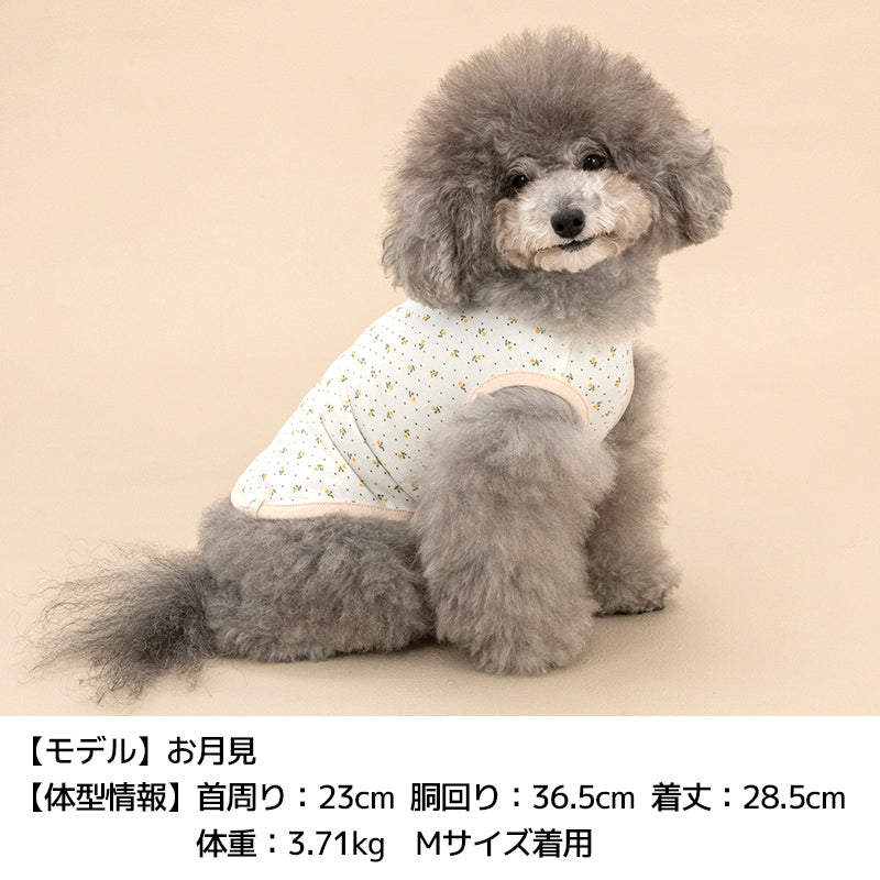 小花柄タンクトップ XS/S/M/L/XL/XXL/DS/DM Jekyll Egg-ジキルエッグ- 犬服 ドッグウェア トイプードル チワワ ポメラニアン JE26AW je261252