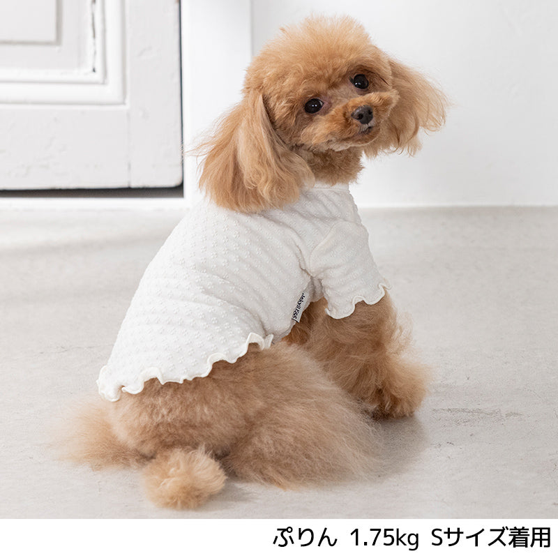 メローTシャツ XS/S/M/L/XL/XXL/DS/DM Jekyll Egg-ジキルエッグ- 犬服