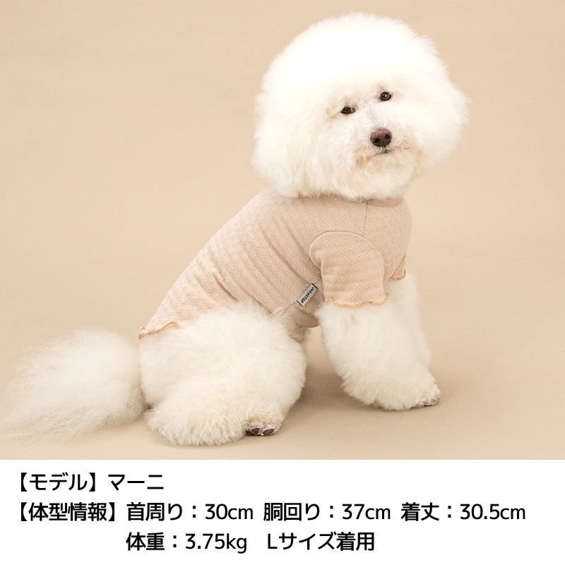 メローTシャツ XS/S/M/L/XL/XXL/DS/DM Jekyll Egg-ジキルエッグ- 犬服 ドッグウェア トイプードル チワワ ポメラニアン JE26AW je261254