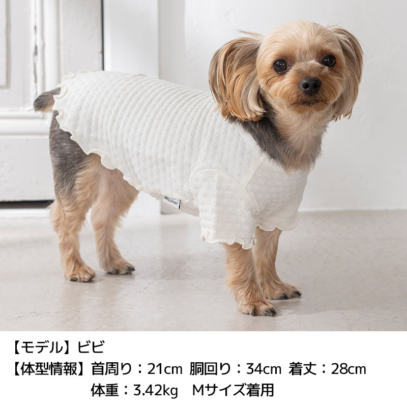 メローTシャツ XS/S/M/L/XL/XXL/DS/DM Jekyll Egg-ジキルエッグ- 犬服