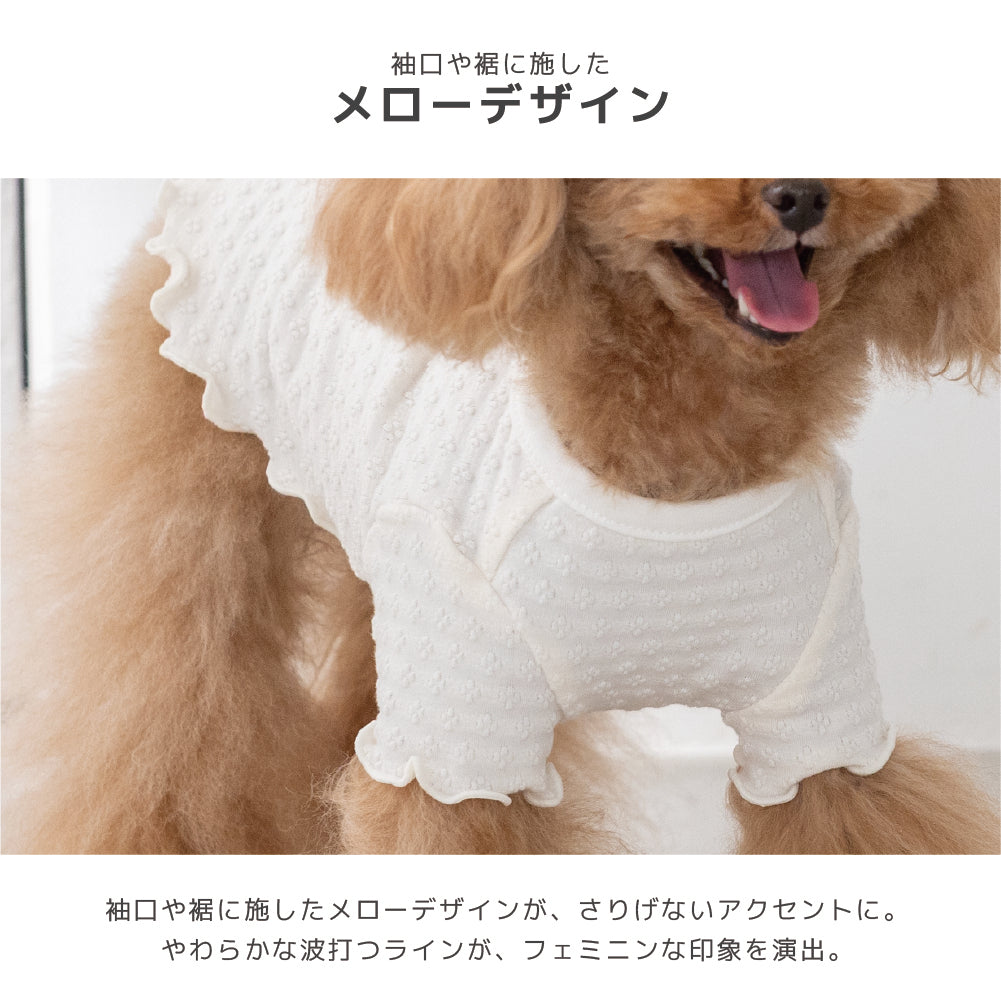 メローTシャツ XS/S/M/L/XL/XXL/DS/DM Jekyll Egg-ジキルエッグ- 犬服 ドッグウェア トイプードル チワワ ポメラニアン JE26AW je261254