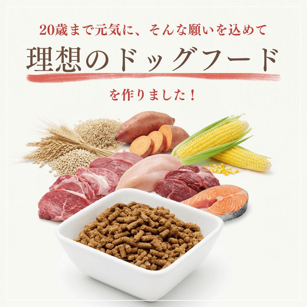 ミートワークスミックス 犬用 国産 無添加 総合栄養食 厳選5種の生肉