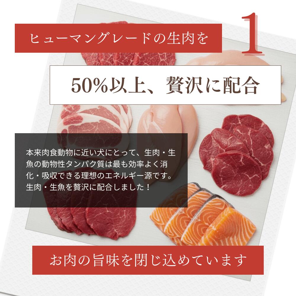 ミートワークスミックス 犬用 国産 無添加 総合栄養食 厳選5種の生肉 牛肉・鶏肉・馬肉・豚肉・魚肉 ドッグフード プレミアムフード ヒューマングレード mw260001