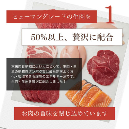 ミートワークスミックス 犬用 国産 無添加 総合栄養食 厳選5種の生肉 牛肉・鶏肉・馬肉・豚肉・魚肉 お試し ドッグフード プレミアムフード ヒューマングレード mw260001