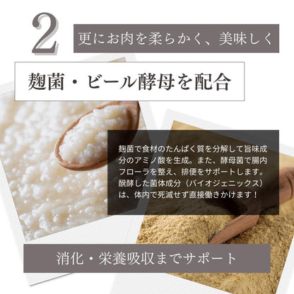 ミートワークスミックス 犬用 国産 無添加 総合栄養食 厳選5種の生肉 牛肉・鶏肉・馬肉・豚肉・魚肉 お試し ドッグフード プレミアムフード ヒューマングレード mw260001
