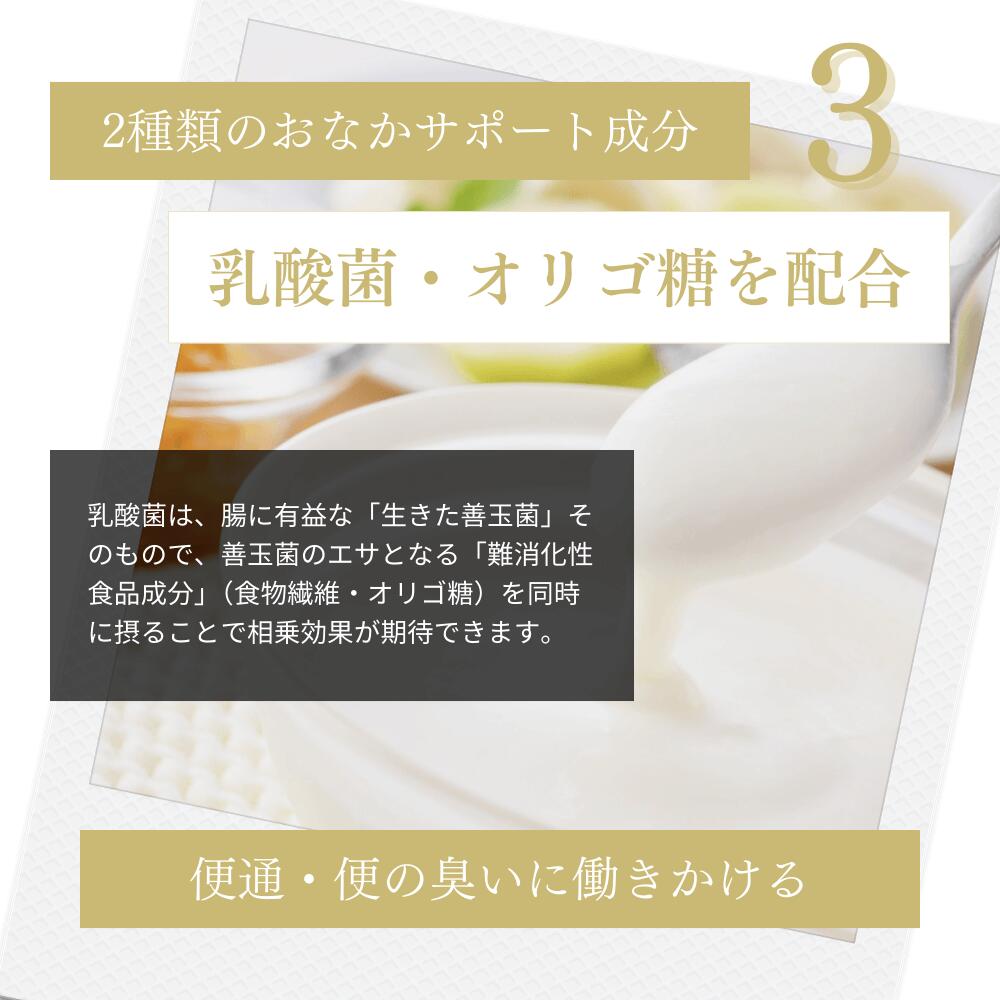 ミートワークスミックス 犬用 国産 無添加 総合栄養食 厳選5種の生肉 牛肉・鶏肉・馬肉・豚肉・魚肉 ドッグフード プレミアムフード ヒューマングレード mw260001