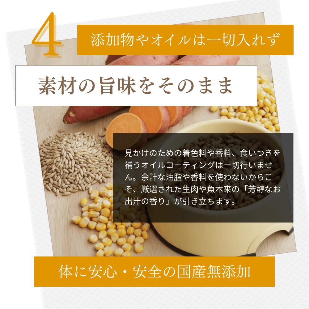 ミートワークスミックス 犬用 国産 無添加 総合栄養食 厳選5種の生肉 牛肉・鶏肉・馬肉・豚肉・魚肉 ドッグフード プレミアムフード ヒューマングレード mw260001
