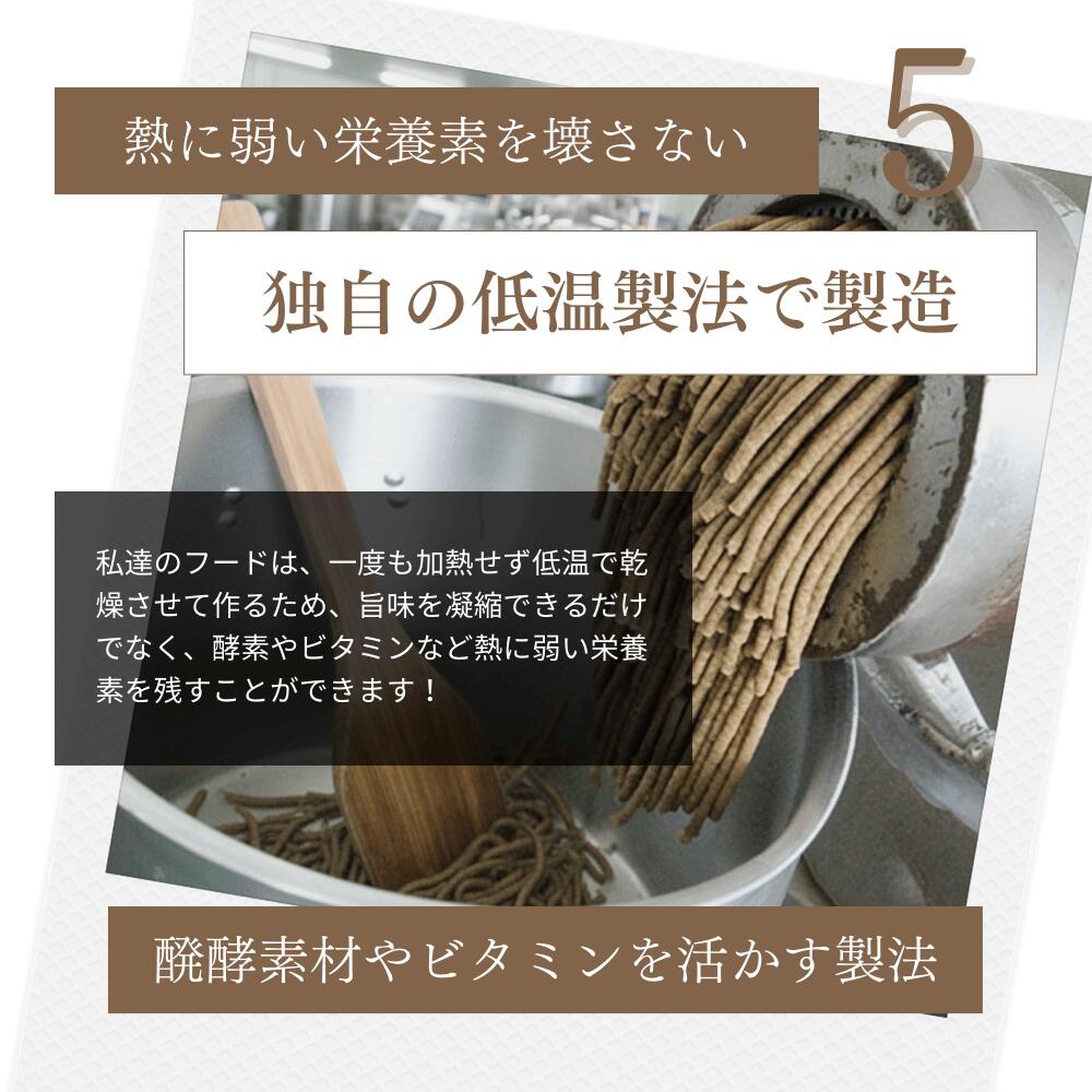 ミートワークスミックス 犬用 国産 無添加 総合栄養食 厳選5種の生肉 牛肉・鶏肉・馬肉・豚肉・魚肉 ドッグフード プレミアムフード ヒューマングレード mw260001