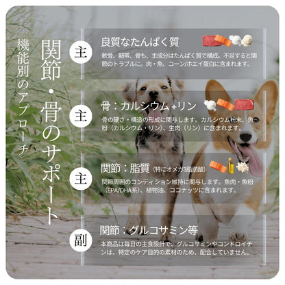 ミートワークスミックス 犬用 国産 無添加 総合栄養食 厳選5種の生肉 牛肉・鶏肉・馬肉・豚肉・魚肉 お試し ドッグフード プレミアムフード ヒューマングレード mw260001