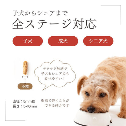 ミートワークスミックス 犬用 国産 無添加 総合栄養食 厳選5種の生肉 牛肉・鶏肉・馬肉・豚肉・魚肉 お試し ドッグフード プレミアムフード ヒューマングレード mw260001