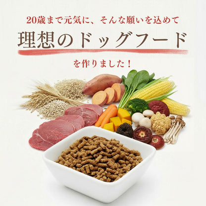 ミートワークス鹿肉×13種の漢方 犬用 国産 無添加 総合栄養食 厳選鹿肉 お試し ドッグフード プレミアムフード ヒューマングレード mw260002
