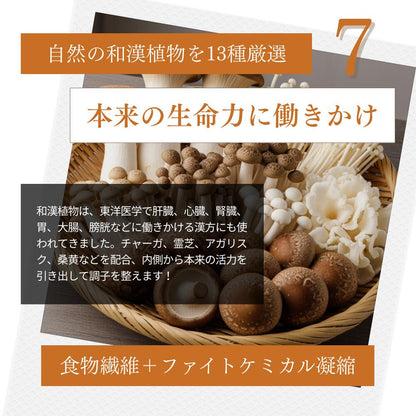 ミートワークス鹿肉×13種の漢方 犬用 国産 無添加 総合栄養食 厳選鹿肉 お試し ドッグフード プレミアムフード ヒューマングレード mw260002