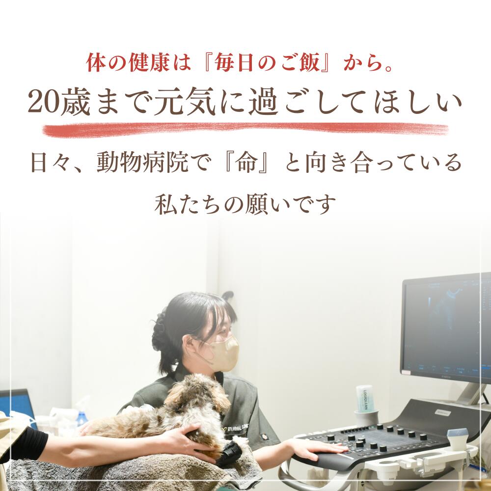ミートワークス鹿肉 犬用 国産 無添加 総合栄養食 厳選鹿肉 ドッグフード プレミアムフード ヒューマングレード mw260002
