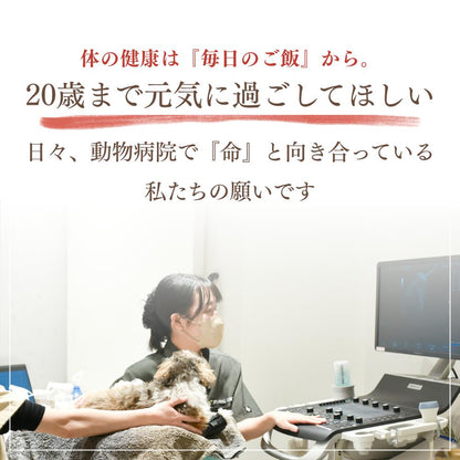 ミートワークス鹿肉×13種の漢方 犬用 国産 無添加 総合栄養食 厳選鹿肉 お試し ドッグフード プレミアムフード ヒューマングレード mw260002
