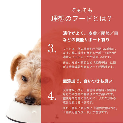ミートワークス馬肉×13種の漢方 犬用 国産 無添加 総合栄養食 厳選馬肉 お試し ドッグフード プレミアムフード ヒューマングレード mw260003