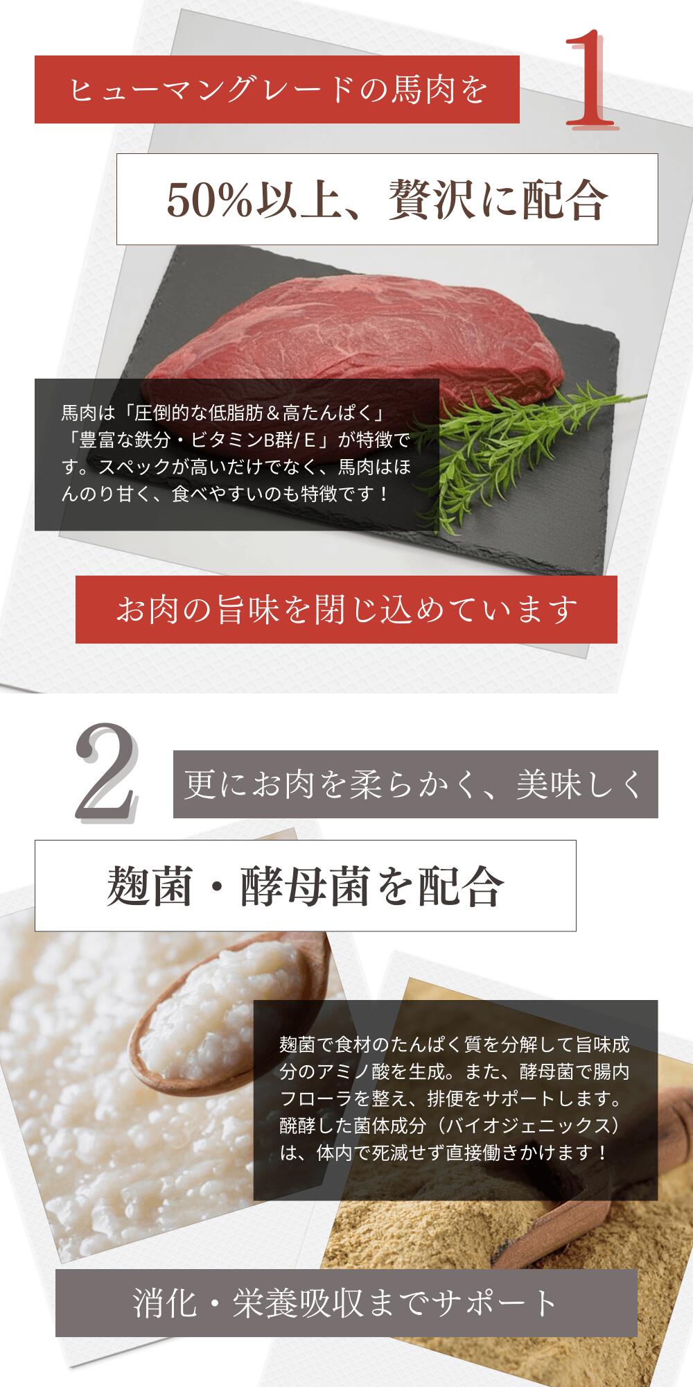 ミートワークス馬肉 犬用 国産 無添加 総合栄養食 厳選馬肉 ドッグフード プレミアムフード ヒューマングレード mw260003