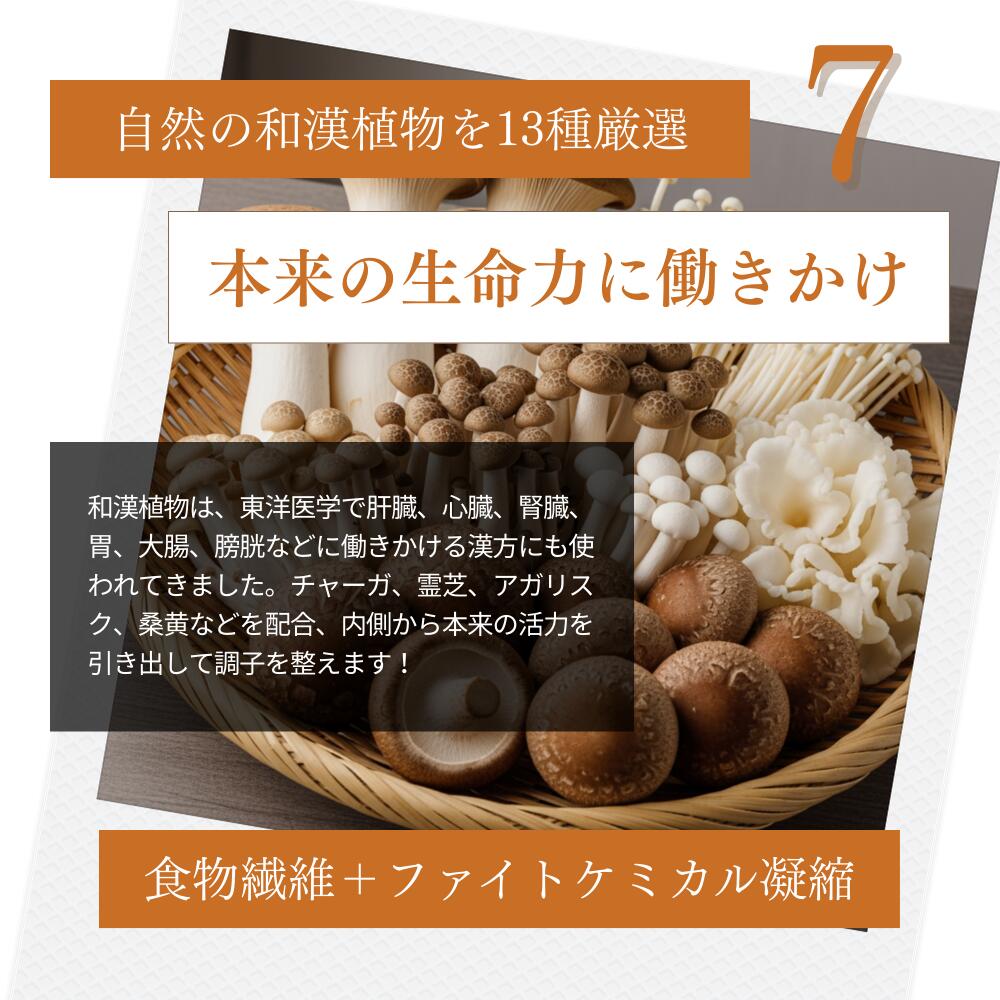 ミートワークス馬肉 犬用 国産 無添加 総合栄養食 厳選馬肉 ドッグフード プレミアムフード ヒューマングレード mw260003