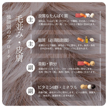 ミートワークス馬肉×13種の漢方 犬用 国産 無添加 総合栄養食 厳選馬肉 お試し ドッグフード プレミアムフード ヒューマングレード mw260003