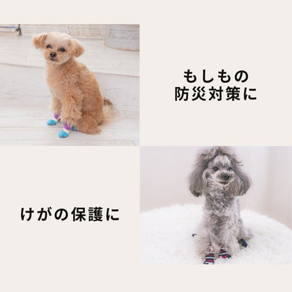 滑り止め付きソックス S/M/L/XL Solgra-ソルグラ- 4個セット 犬用 ペット用 靴下 滑り止め トイプードル チワワ ポメラニアン SO21AW so155051-1