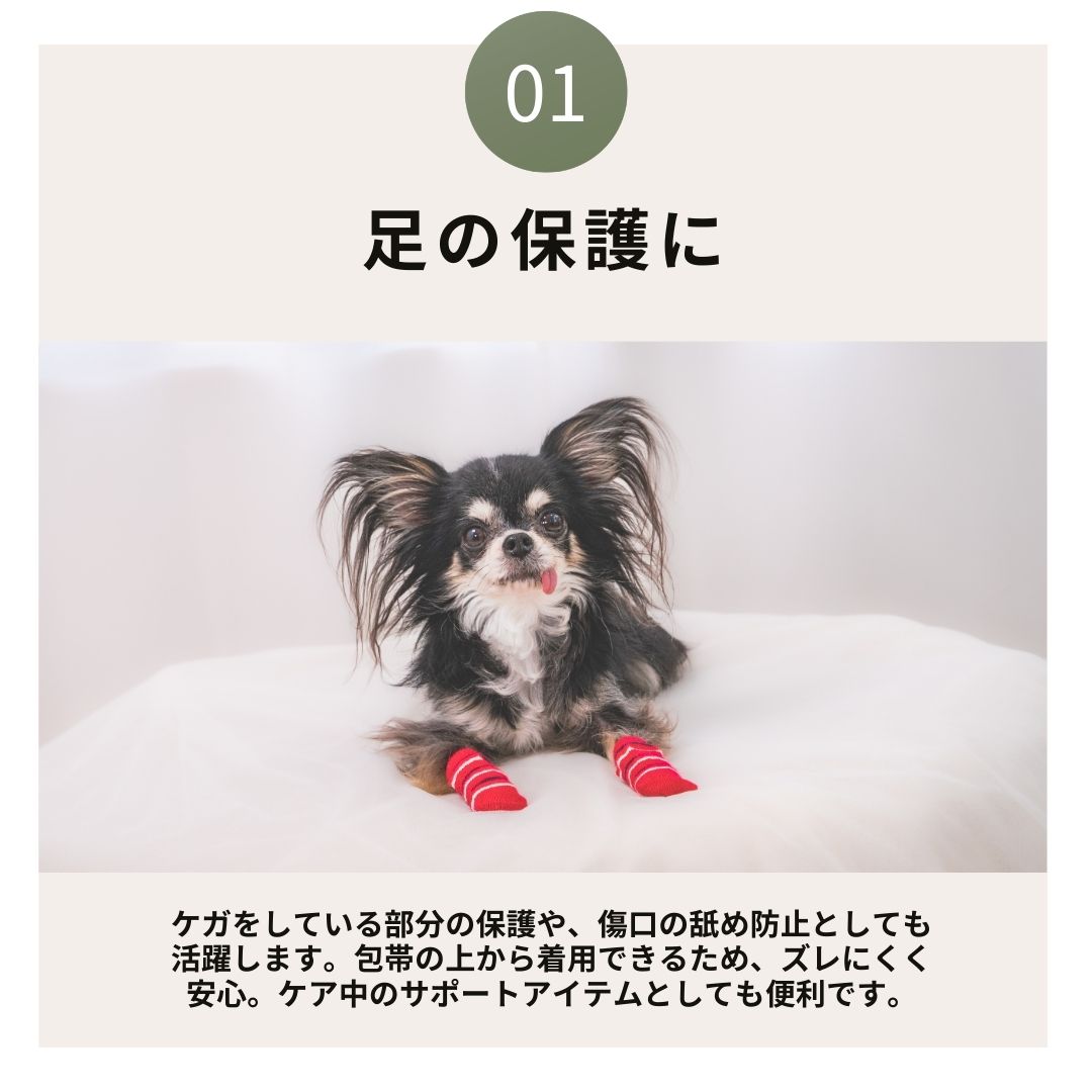 滑り止め付きソックス S/M/L/XL Solgra-ソルグラ- 4個セット 犬用