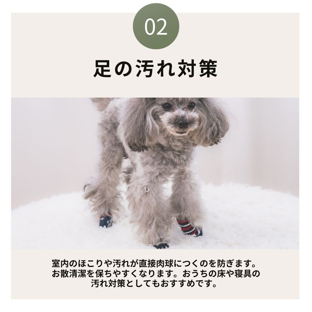 滑り止め付きソックス S/M/L/XL Solgra-ソルグラ- 4個セット 犬用 ペット用 靴下 滑り止め トイプードル チワワ ポメラニアン SO21AW so155051-1