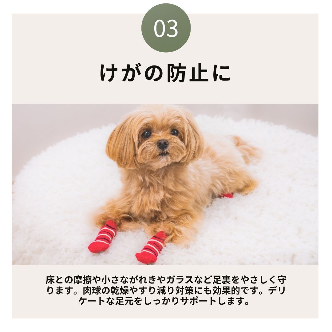 滑り止め付きソックス S/M/L/XL Solgra-ソルグラ- 4個セット 犬用
