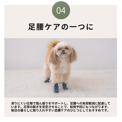 滑り止め付きソックス S/M/L/XL Solgra-ソルグラ- 4個セット 犬用 ペット用 靴下 滑り止め トイプードル チワワ ポメラニアン SO21AW so155051-1