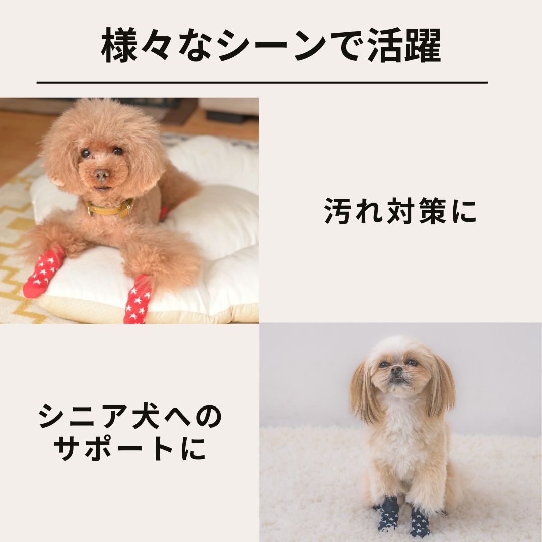 junjun 福袋 犬用靴下 10組 アソート サイズ選べます 10セット 滑り止め付きソックス S/M/L/XL Solgra-ソルグラ- 4個セット 犬用