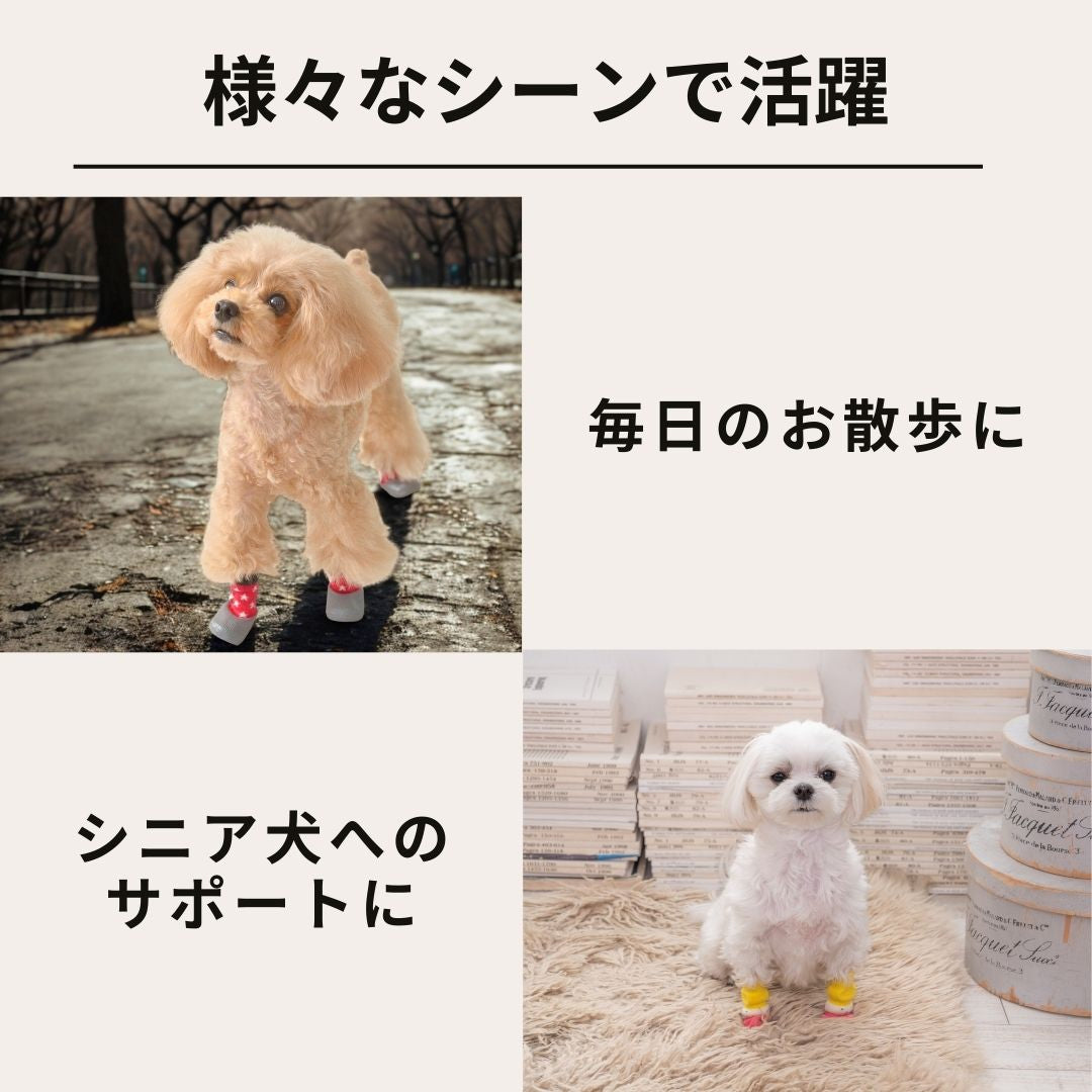 ラバーソックス S/M/L/XL Solgra-ソルグラ- 4個セット 犬用 ペット用 靴下 滑り止め トイプードル チワワ ポメラニアン SO21AW so155061-1